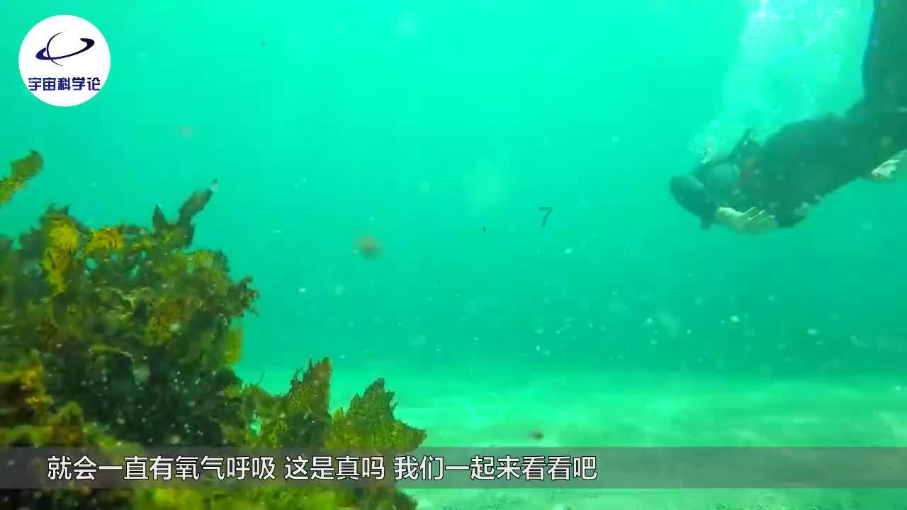零：濡鸦之巫女