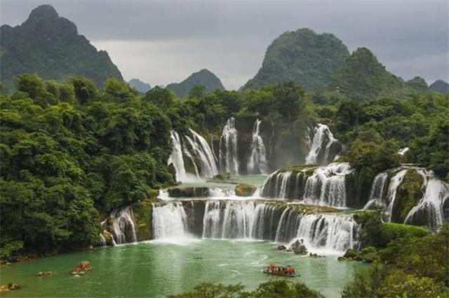 动物帮帮忙保卫家园