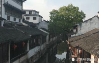 古墓丽影崛起